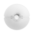 Ruijie Reyee RG-AirMetro460G 5GHz Outdoor Wireless Bridge CPE – 15km, 867Mbps, Gigabit